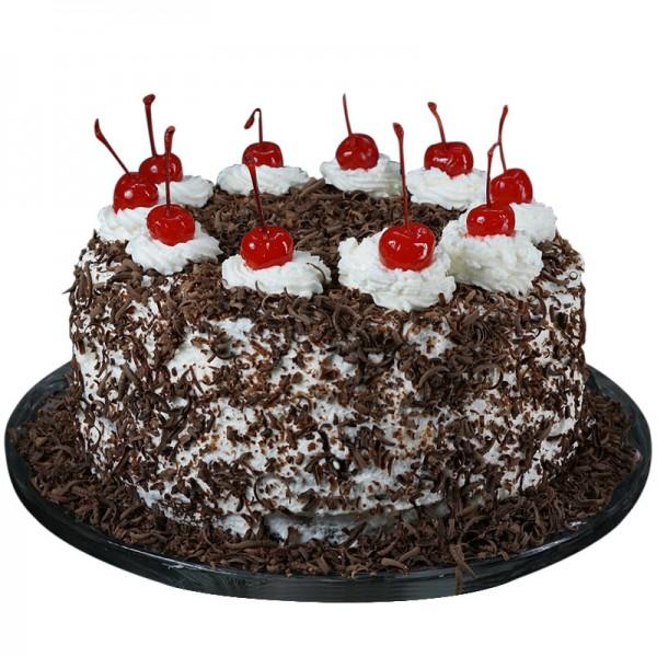 Zestful Choco Cherry Forest