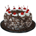 Zestful Choco Cherry Forest